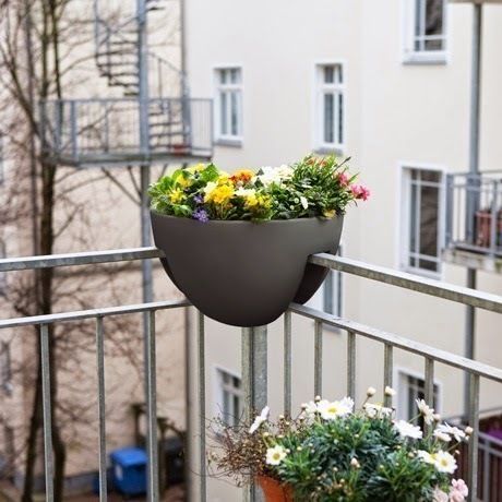 homify Balkon, Beranda & Teras Modern Plants & flowers