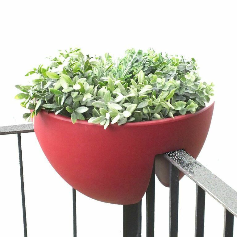 homify Modern terrace Plants & flowers