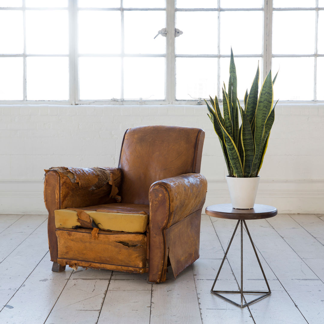 Pyramid table / Stool Biggs & Quail Moderne woonkamers Salon- & bijzettafels