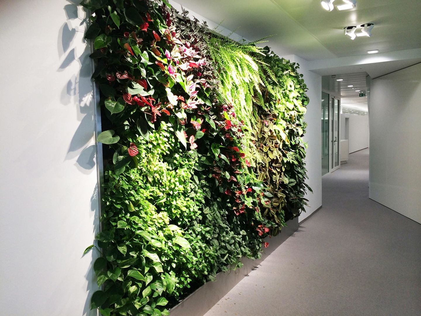 vertical-garden, GREEN URBAN LIFE GMBH GREEN URBAN LIFE GMBH Espacios comerciales Edificios de oficinas