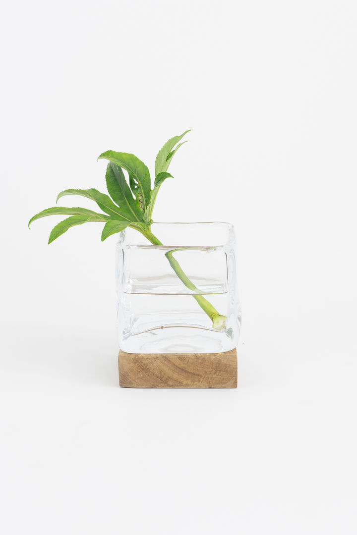 Handmade Glass Vase - Square Oggetto Taman Modern Plants & accessories