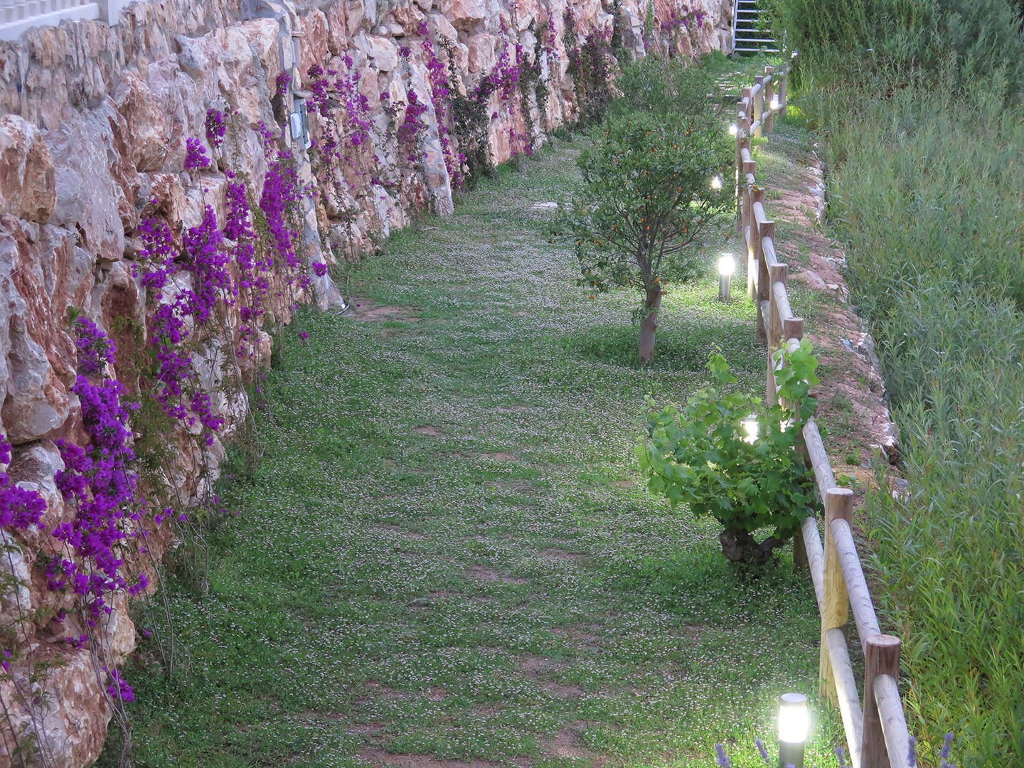 Gran terraza verde con Bougainvillea LANDSHAFT Jardines de estilo mediterráneo