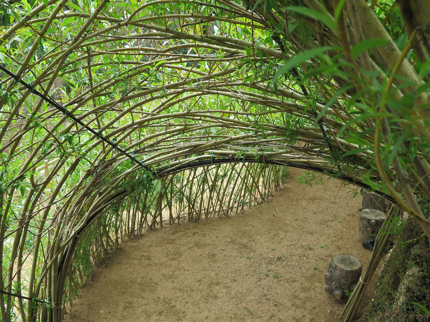 Estructuras de sauce vivo, LANDSHAFT LANDSHAFT Vườn phong cách mộc mạc Greenhouses & pavilions