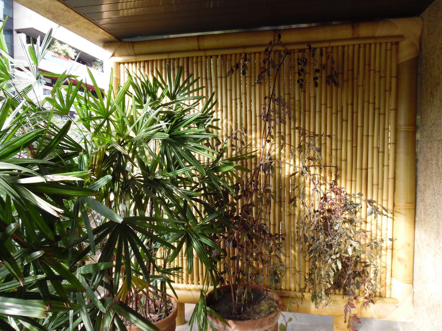 Cercas e painéis de bambu para áreas internas e externas., Bambu Rei Eco-Design Bambu Rei Eco-Design Балкон и терраса в рустикальном стиле