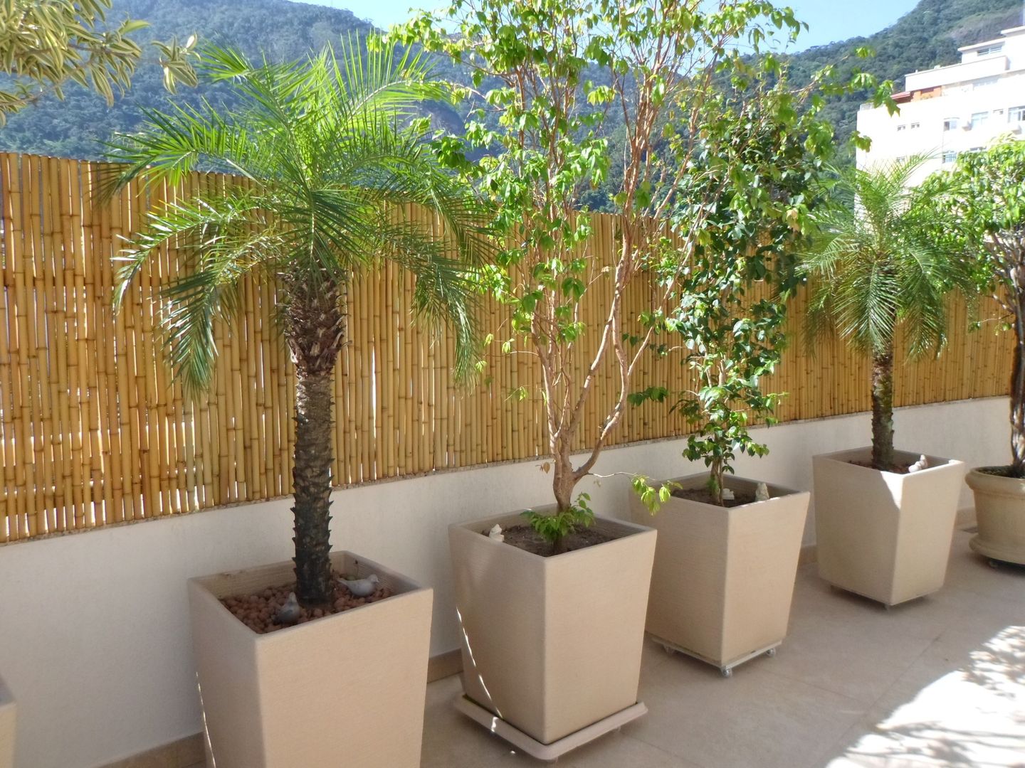 Cercas e painéis de bambu para áreas internas e externas., Bambu Rei Eco-Design Bambu Rei Eco-Design Rustik Balkon, Veranda & Teras