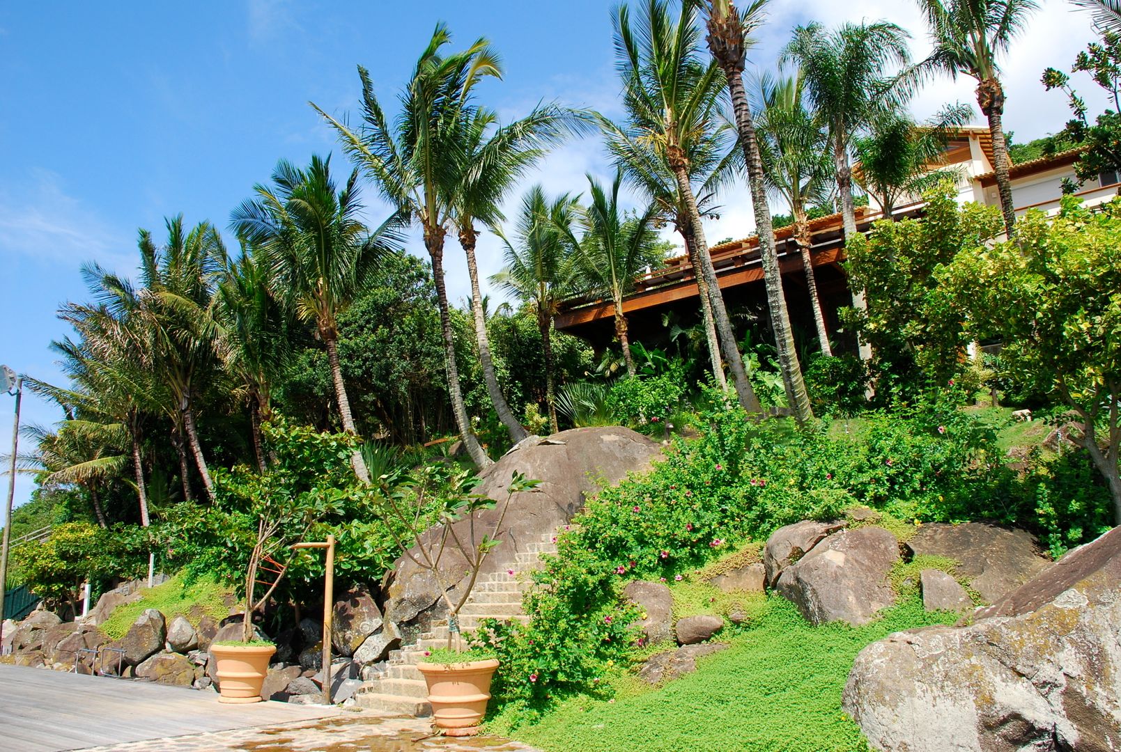 Residência FS - Ilhabela, SP, Gil Fialho Paisagismo Gil Fialho Paisagismo حديقة