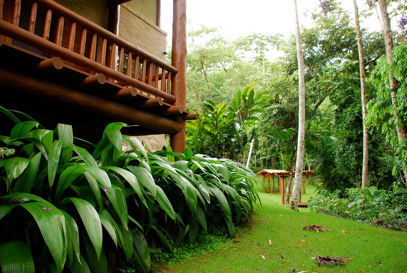 Residência SA - Ilhabela, SP, Gil Fialho Paisagismo Gil Fialho Paisagismo