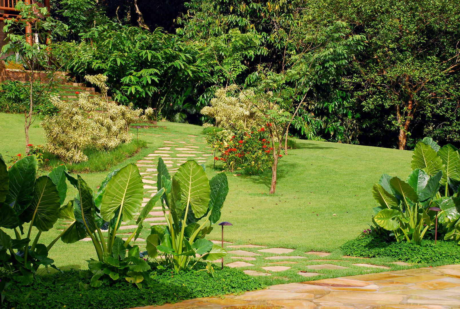 Residência SA - Ilhabela, SP, Gil Fialho Paisagismo Gil Fialho Paisagismo