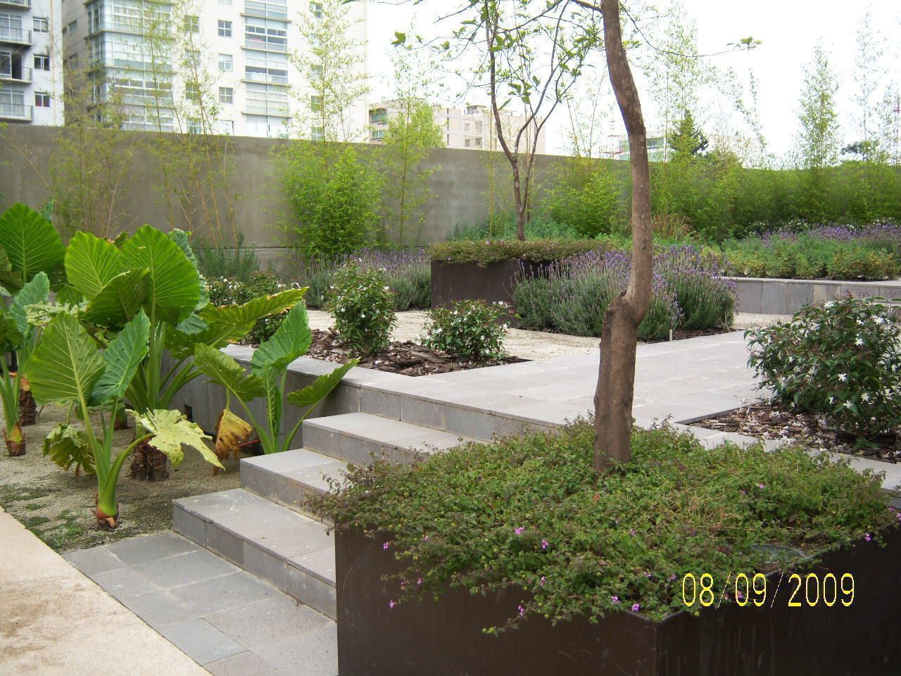 Parques Polanco - KVR Arquitectura de Paisaje , KVR Arquitectura de paisaje KVR Arquitectura de paisaje حديقة