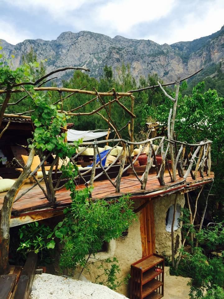 Reflections Camp, badem ağacı badem ağacı Balcones y terrazas de estilo mediterráneo
