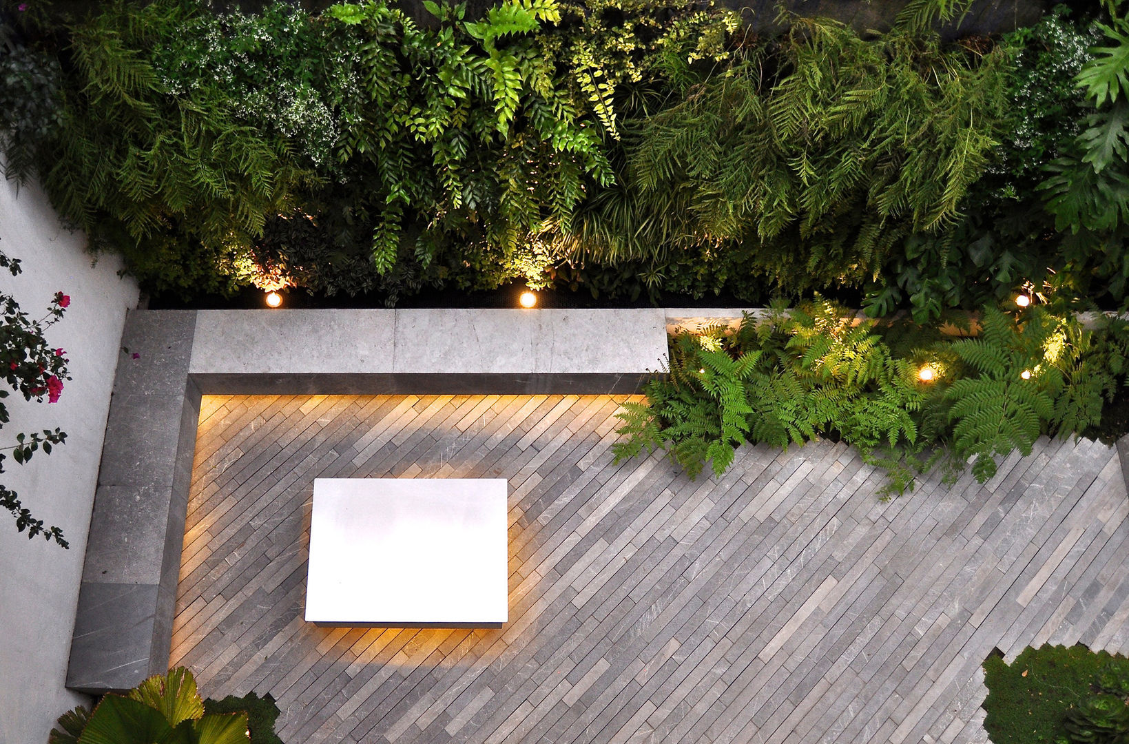 SC-152, DF ARQUITECTOS DF ARQUITECTOS Modern style gardens