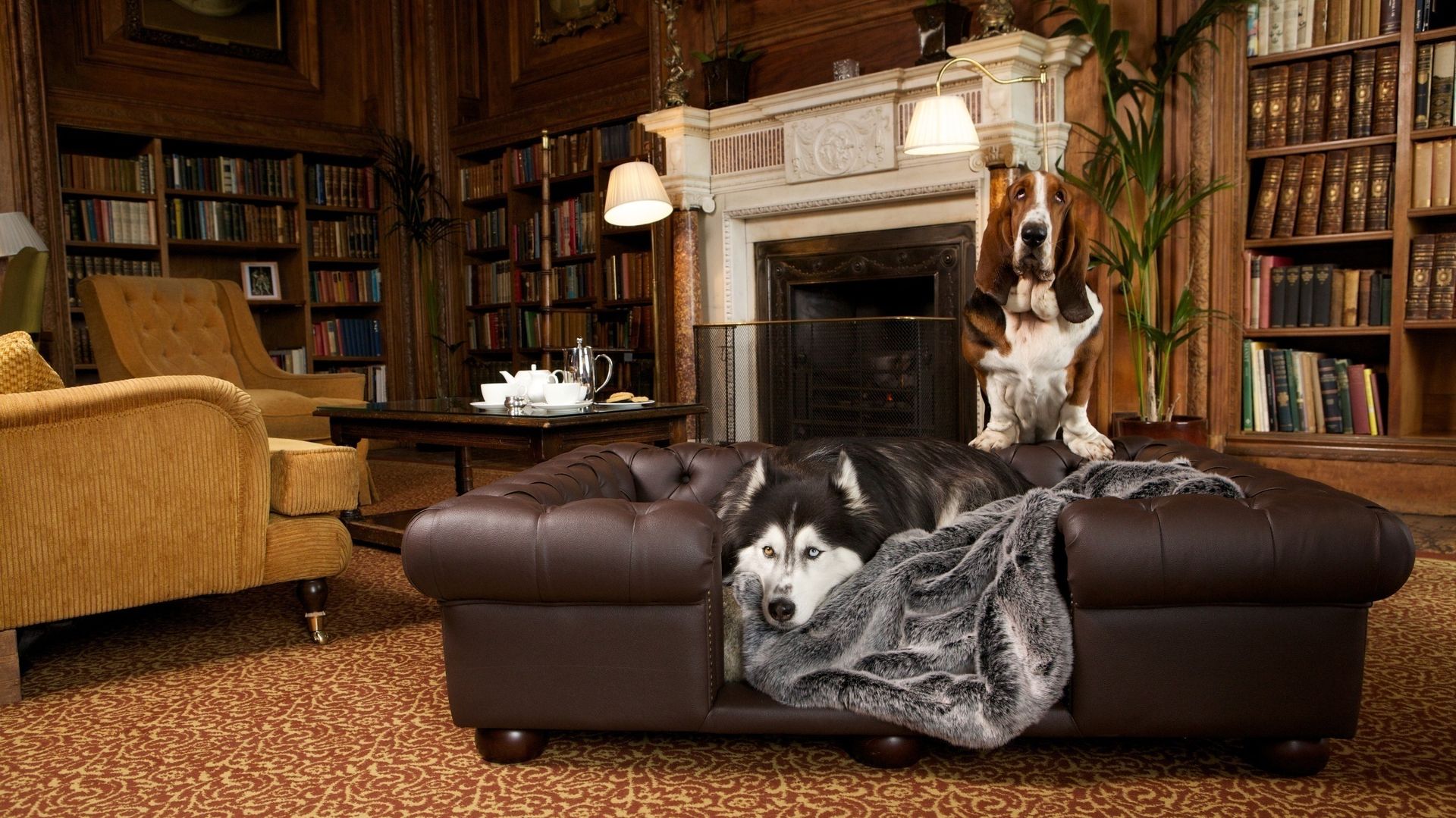 Balmoral large sofa in Chestnut faux leather homify ห้องนั่งเล่น หนังสัตว์เทียม Metallic/Silver โซฟาและเก้าอี้นวม