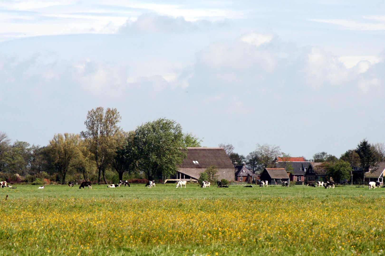 Woning te Gytsjerk, Dorenbos Architekten bv Dorenbos Architekten bv Modern Houses