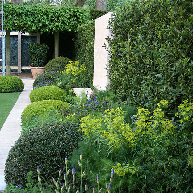 homify Modern style gardens