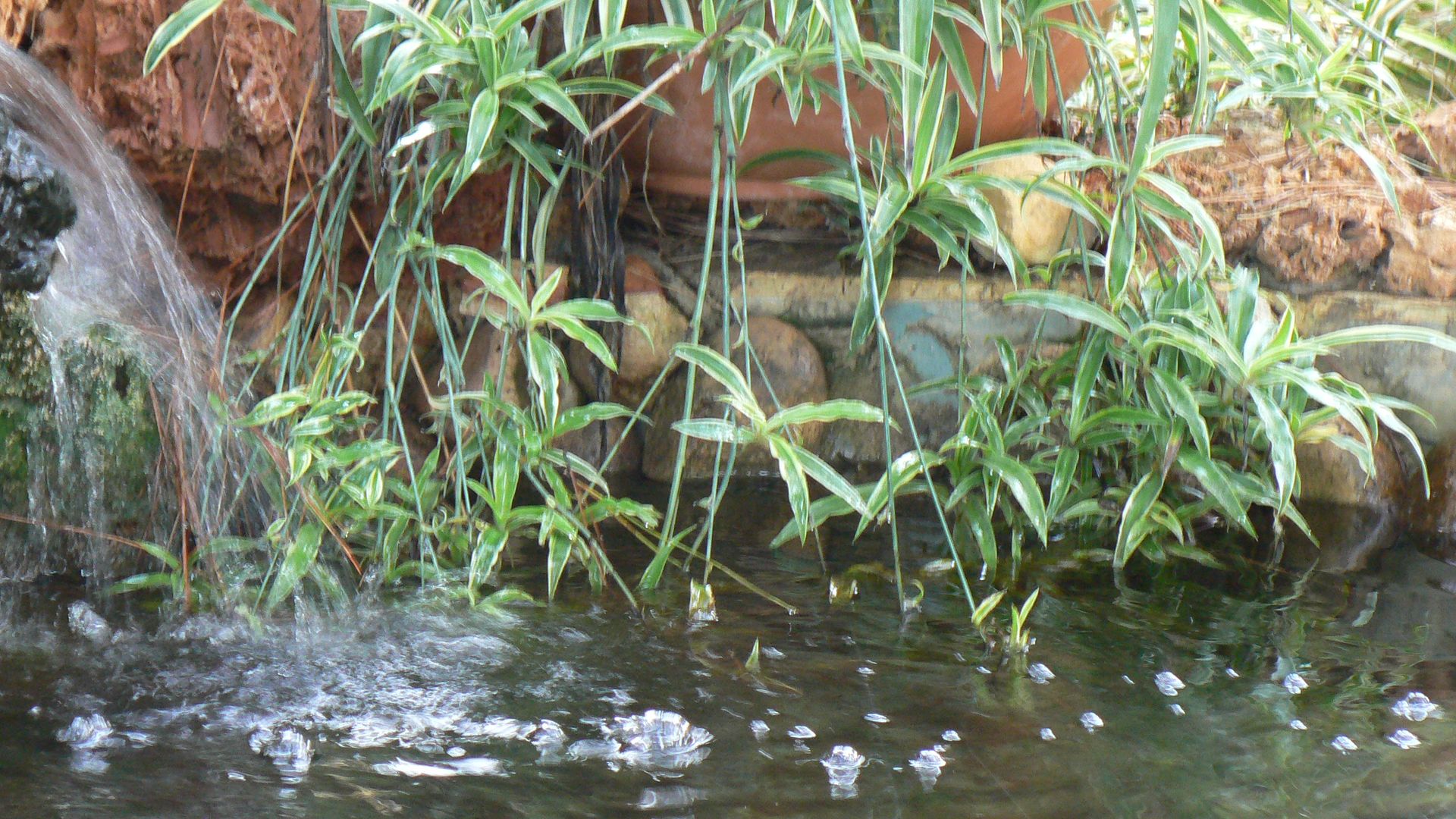 sihirli peyzaj, sihirlipeyzaj sihirlipeyzaj Mediterranean style garden