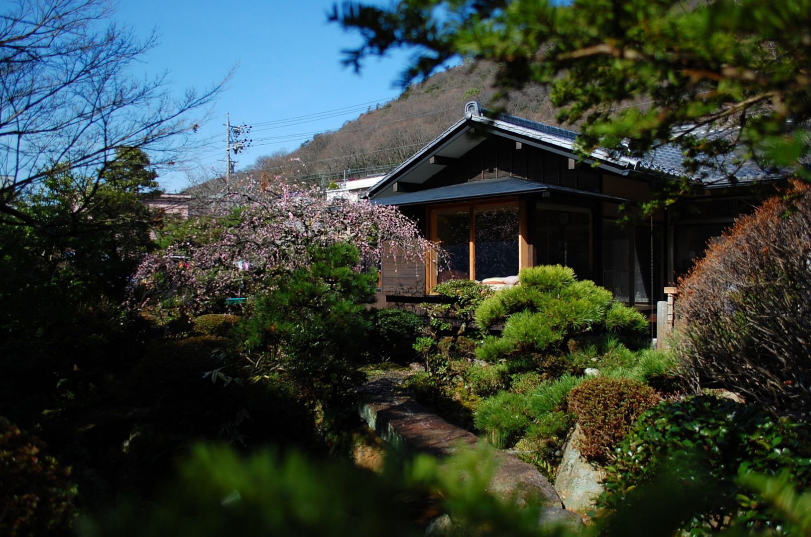 岩田坂の増築, ELEPHANTdesign ELEPHANTdesign Asian style houses