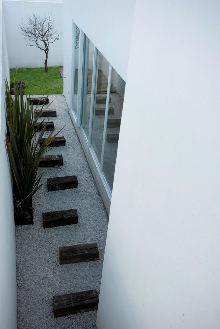 Casa Pitahayas 62, Zibatá, El Marqués, Querétaro, JF ARQUITECTOS JF ARQUITECTOS Taman Minimalis Plants & flowers