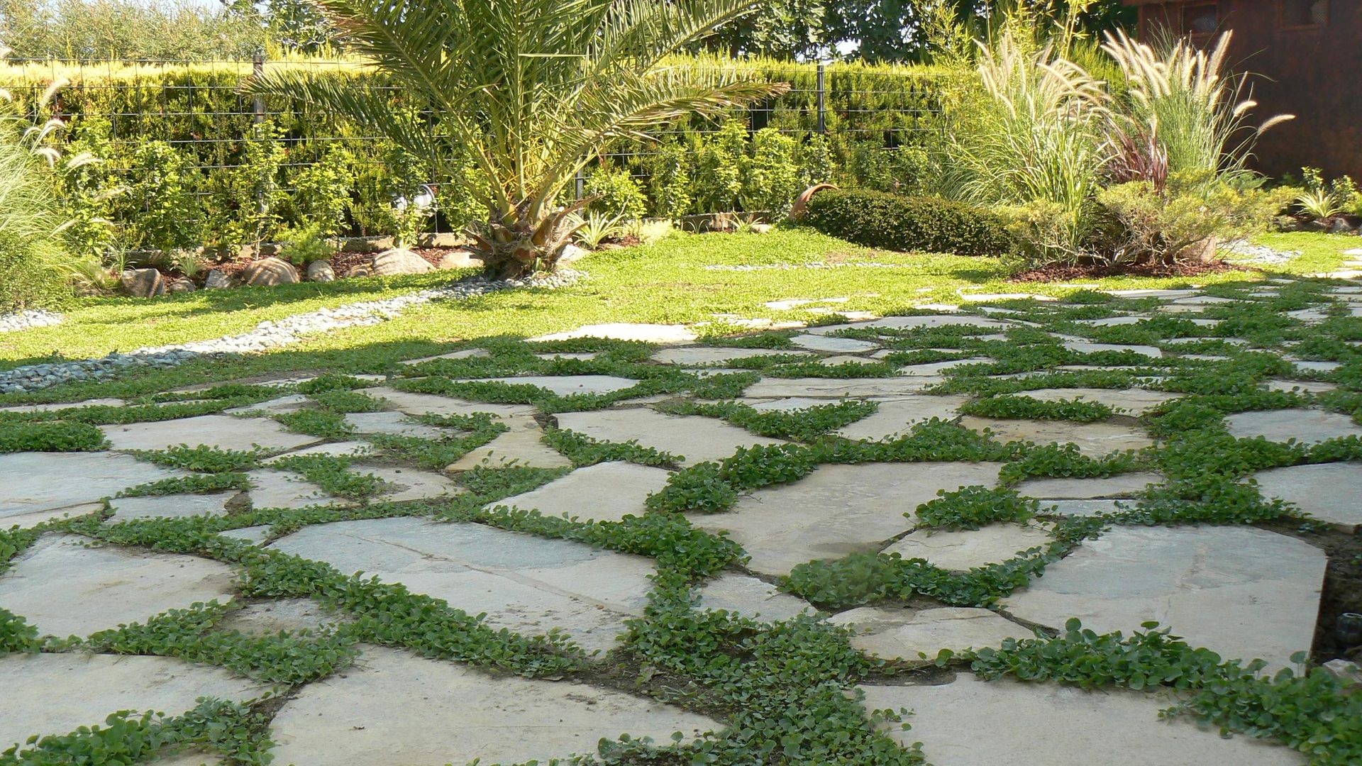 sihirlipeyzaj, sihirlipeyzaj sihirlipeyzaj Mediterranean style garden