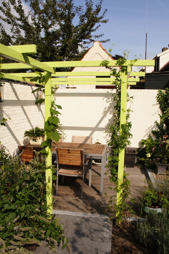 Mini patio tuin Dutch Quality Gardens, Mocking Hoveniers Moderne tuinen