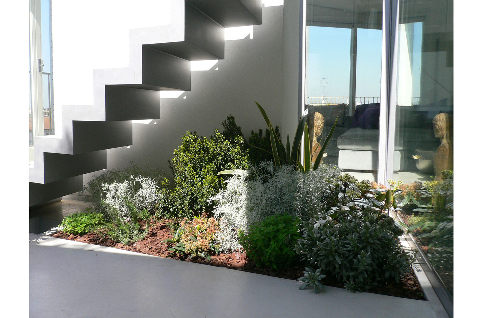 Small decorative green corner 8&A Architetti Modern balcony, veranda & terrace Plants & flowers