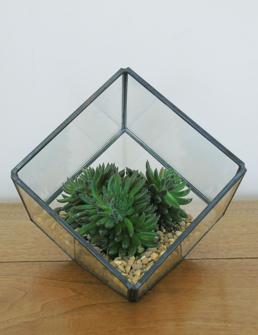 Glass Cube Terrarium homify Industrial style gardens Plants & accessories