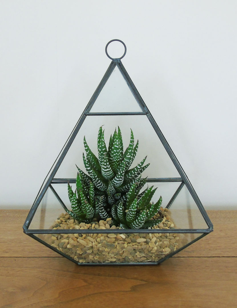 Glass Pyramid Terrarium homify インダストリアルな 庭 植物＆アクセサリー