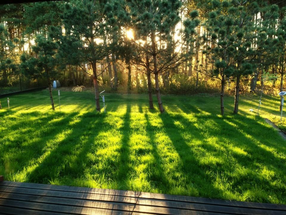 Jak stara fabryka w sercu lasu, RAJEK Projektowanie Wnętrz RAJEK Projektowanie Wnętrz Jardin industriel