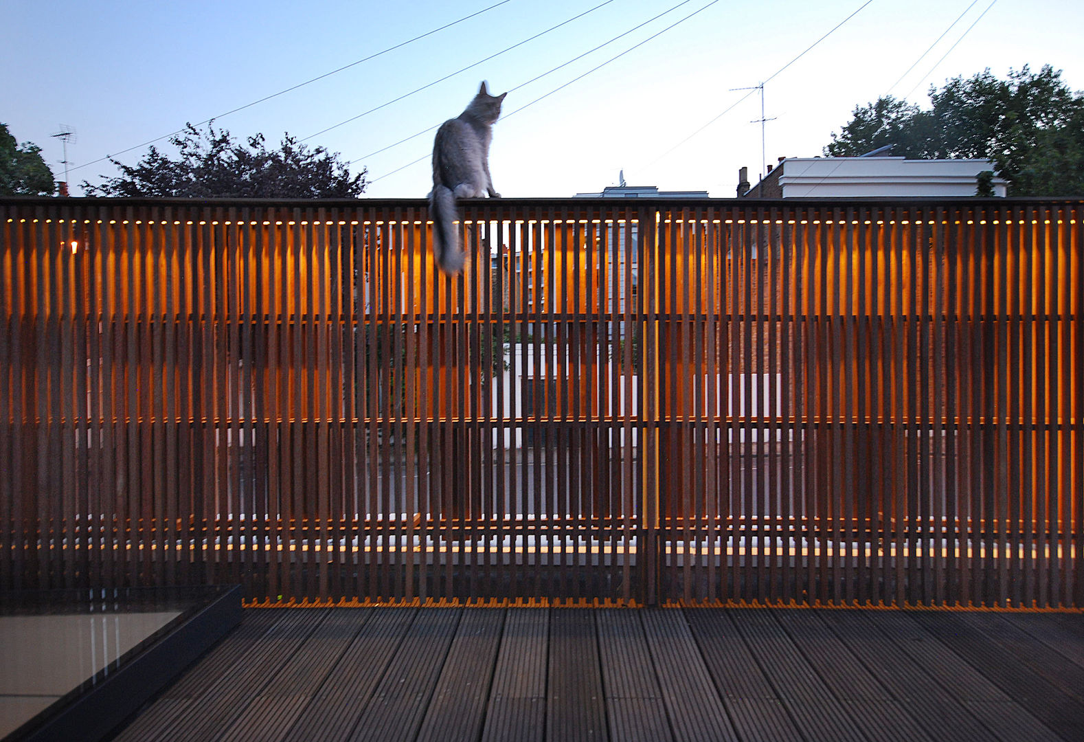 Roof Garden homify Rustieke tuinen