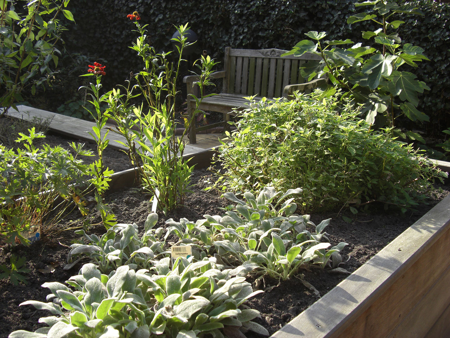 Bosbeek - patio voor gesloten afdeling dementie, Bureau Fonkel Bureau Fonkel مساحات تجارية عيادات طبية