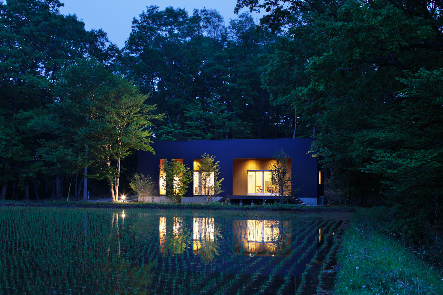 外観夜景 久保田章敬建築研究所 Casas estilo moderno: ideas, arquitectura e imágenes