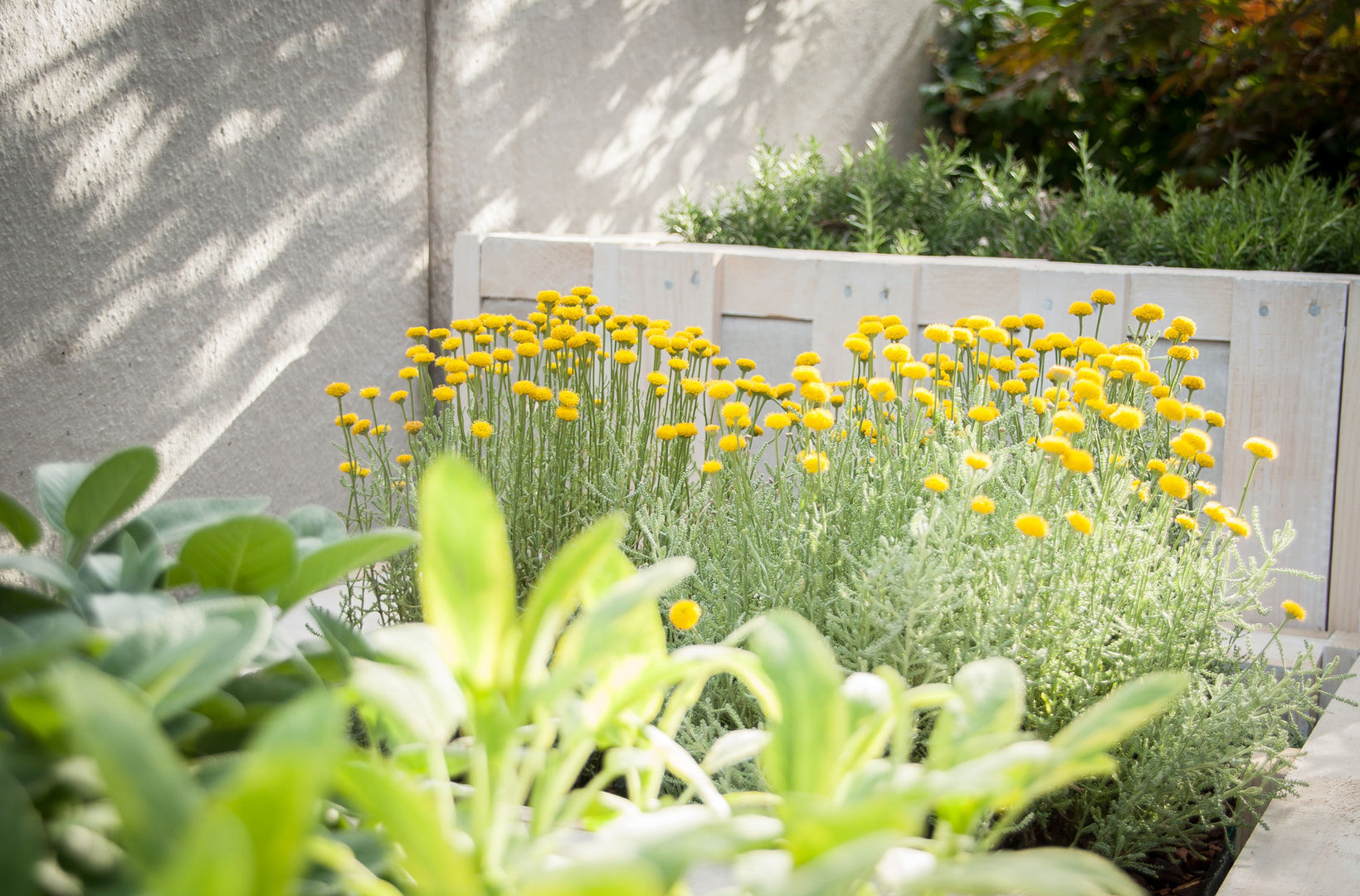 Pallet terrace, exTerra | consulenze ambientali e design nel verde exTerra | consulenze ambientali e design nel verde Rustic style balcony, veranda & terrace Wood Wood effect Plants & flowers