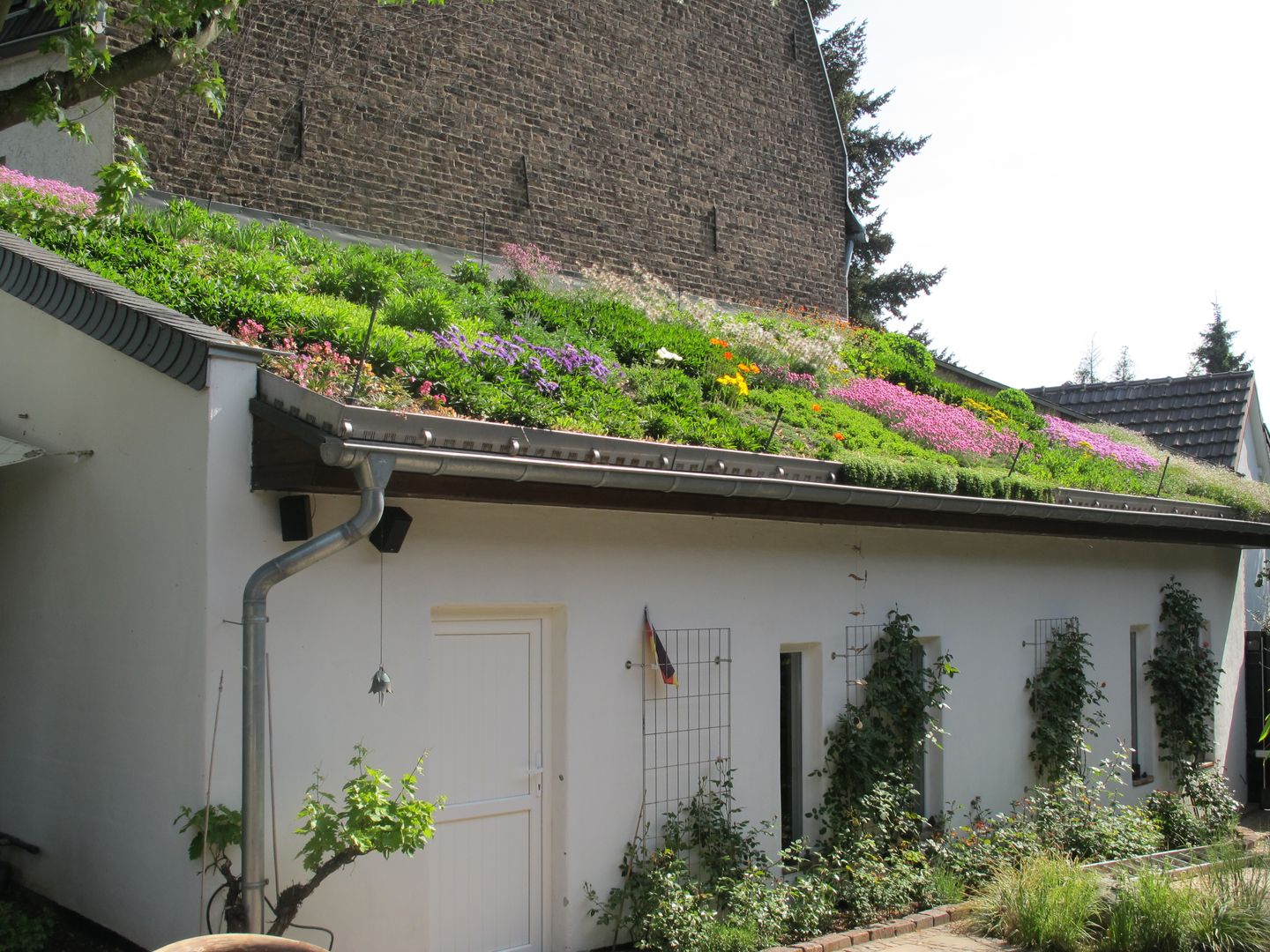 Intensiv Dachbegrünung Bauernhof, Nagelschmitz Garten- und Landschaftsgestaltung GmbH Nagelschmitz Garten- und Landschaftsgestaltung GmbH Giardino in stile mediterraneo