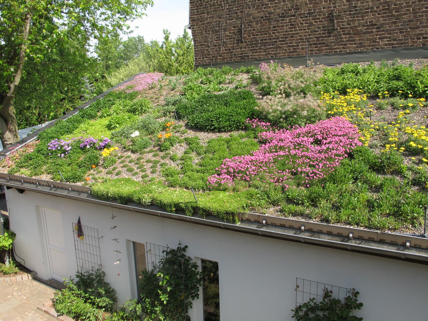 Intensiv Dachbegrünung Bauernhof, Nagelschmitz Garten- und Landschaftsgestaltung GmbH Nagelschmitz Garten- und Landschaftsgestaltung GmbH Garden