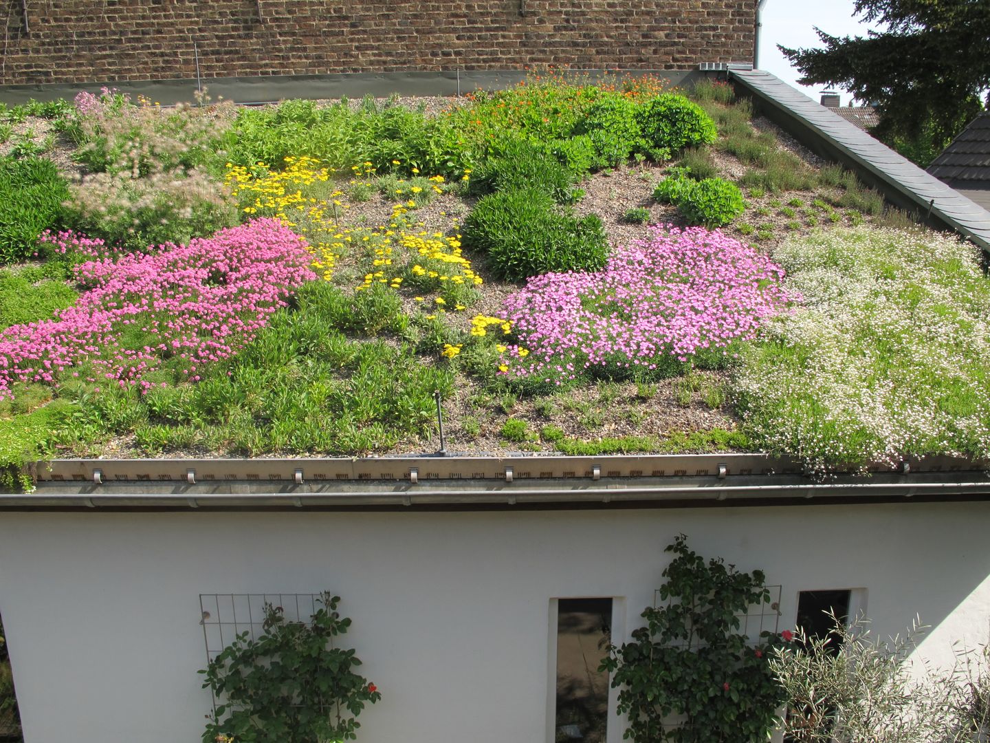 Intensiv Dachbegrünung Bauernhof, Nagelschmitz Garten- und Landschaftsgestaltung GmbH Nagelschmitz Garten- und Landschaftsgestaltung GmbH Garasi Gaya Mediteran