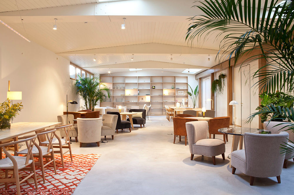 interiores con plantas en el Hotel Margot, Barcelona Asilvestrada Salas de estilo tropical