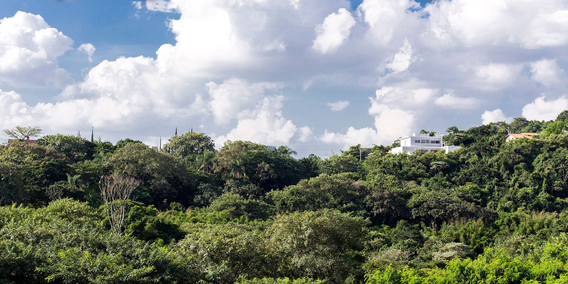 Casa FD, SAA_SHIEH ARQUITETOS ASSOCIADOS SAA_SHIEH ARQUITETOS ASSOCIADOS Modern home