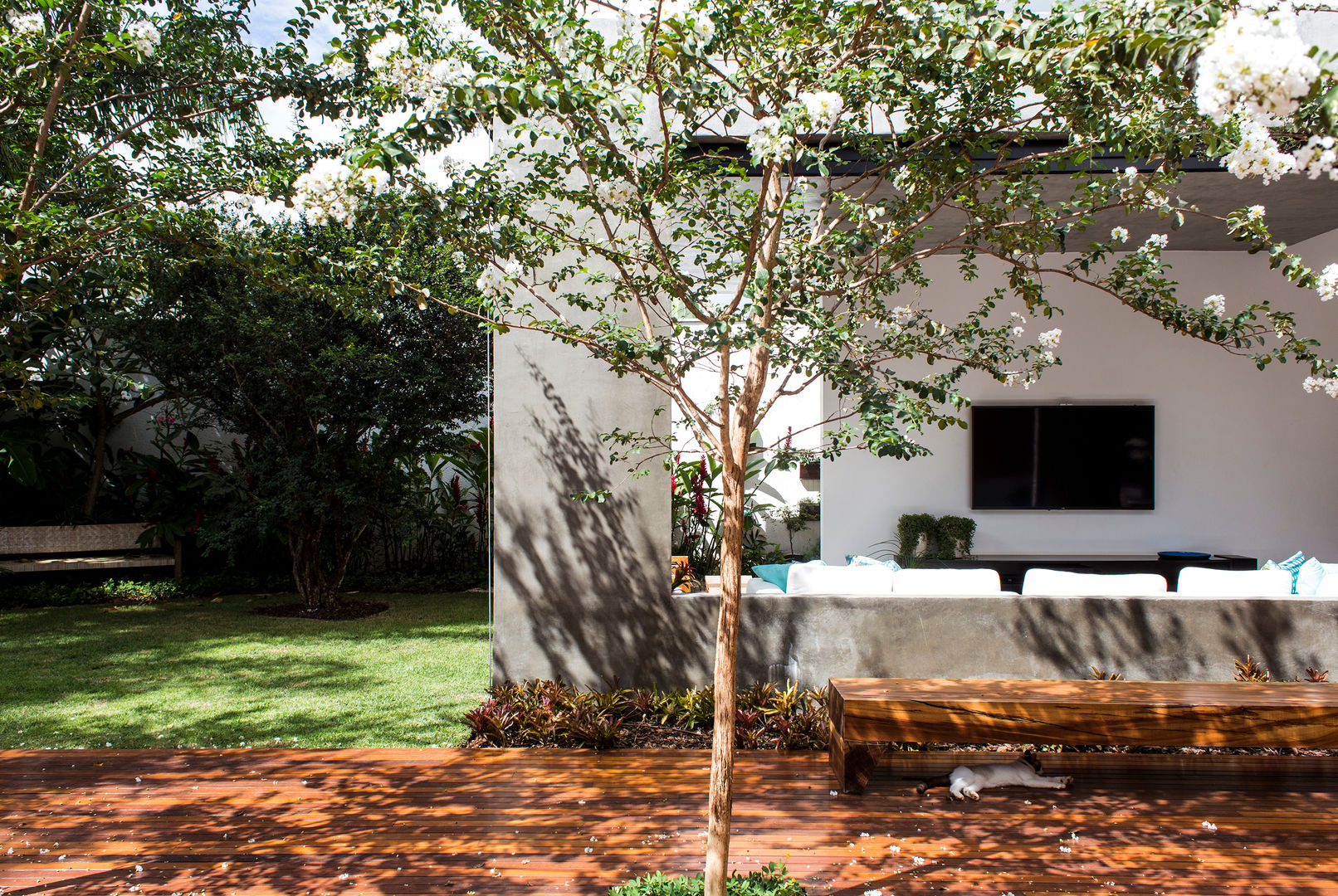 RESIDÊNCIA RMJ, Felipe Bueno Arquitetura Felipe Bueno Arquitetura Jardines de estilo moderno