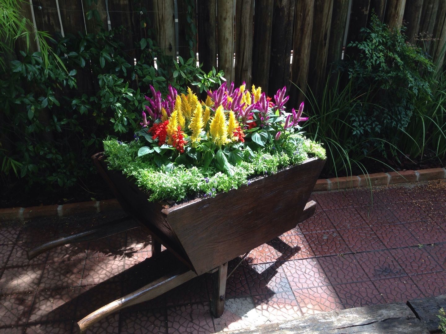 Projeto para um carrinho de flores, Casa Nova Paisagismo Casa Nova Paisagismo Jardins rústicos Flor,Plantar,Vaso de flores,Botânica,Pétala,Grama,Planta terrestre,Arranjo de flores,Arbusto,Cobertura do solo