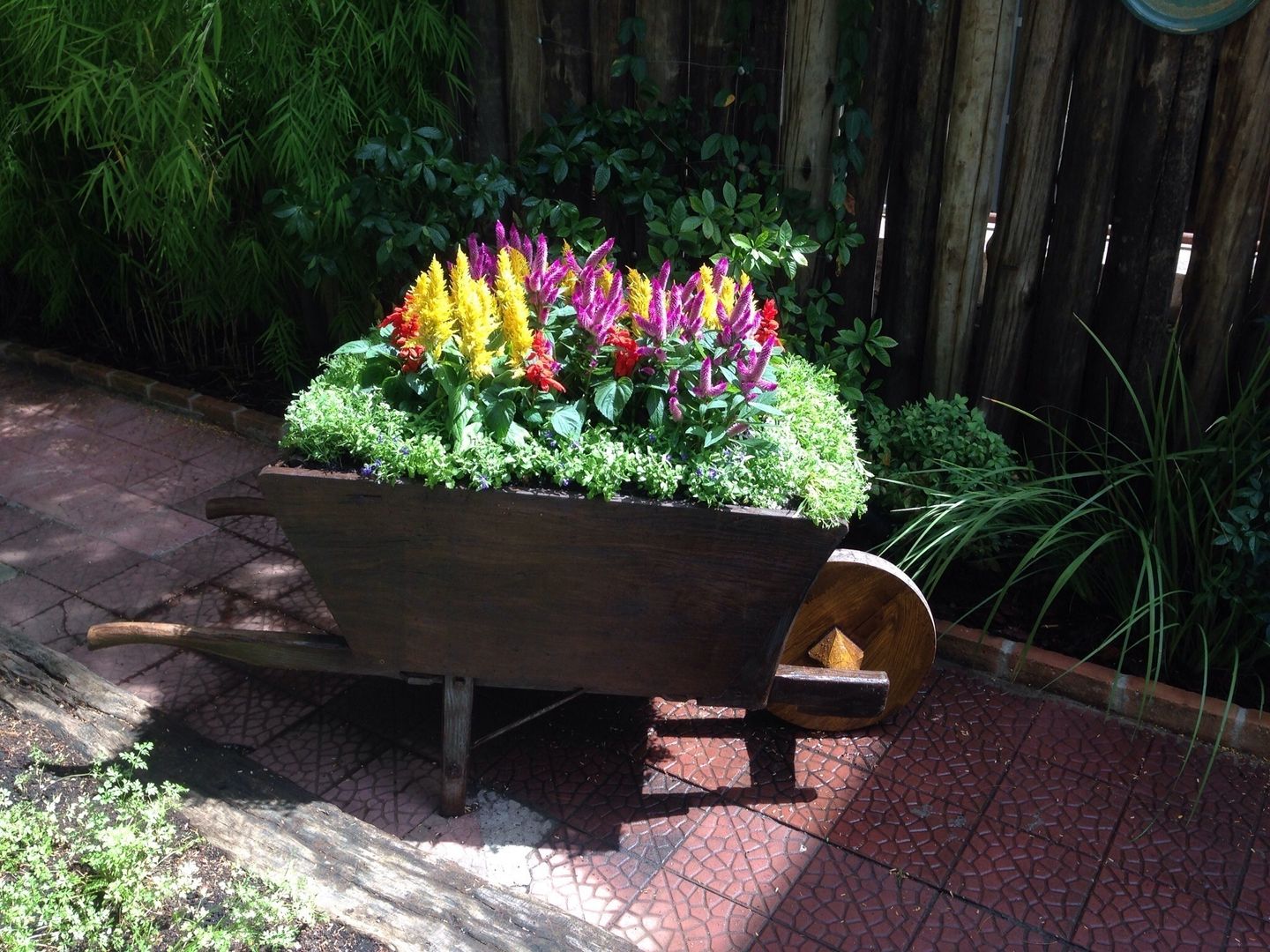 Projeto para um carrinho de flores, Casa Nova Paisagismo Casa Nova Paisagismo Jardines de estilo rústico