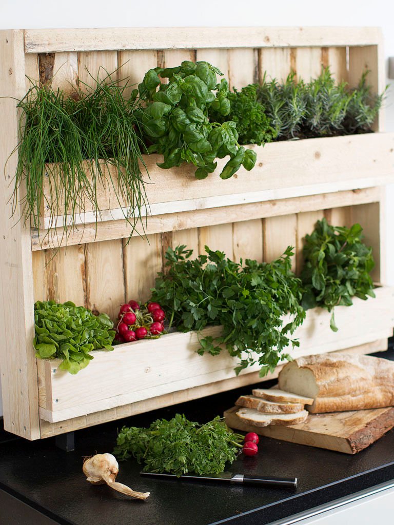 Verticale pallet tuin van POPUPPALLETS, Pop up Pallets Pop up Pallets Балкон и веранда в стиле лофт Растения