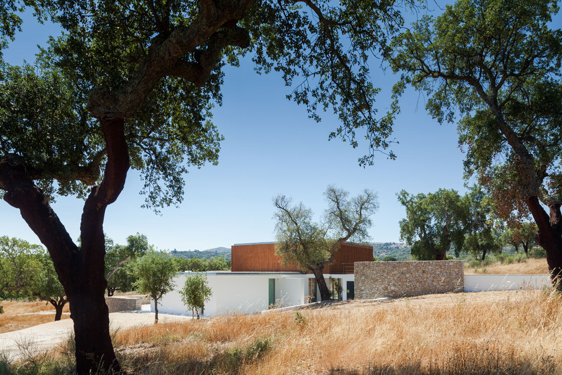 QUINTA DOS POMBAIS HOUSE, OPERA I DESIGN MATTERS OPERA I DESIGN MATTERS 現代房屋設計點子、靈感 & 圖片 木頭 Wood effect