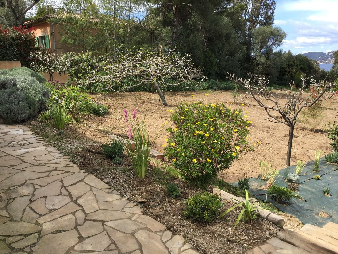 Villa PN, In&Out Garden In&Out Garden Mediterrane tuinen