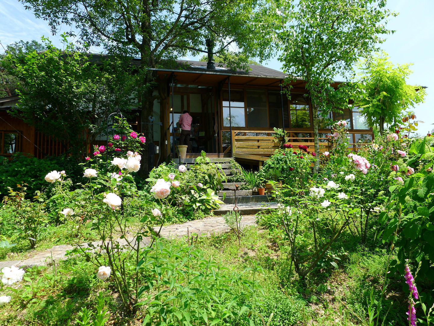 La Province, 風建築工房 風建築工房 Scandinavian style garden