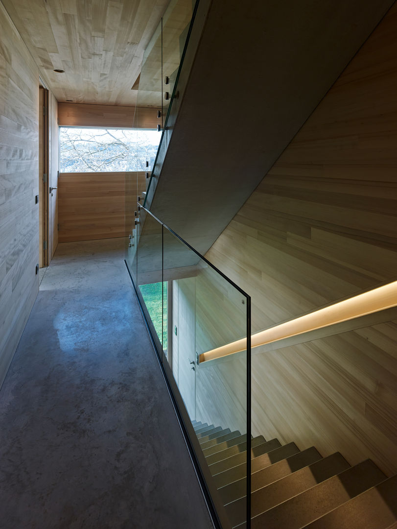 Duplexhouse Linz, HAMMERER Architekten GmbH/SIA HAMMERER Architekten GmbH/SIA 모던스타일 복도, 현관 & 계단