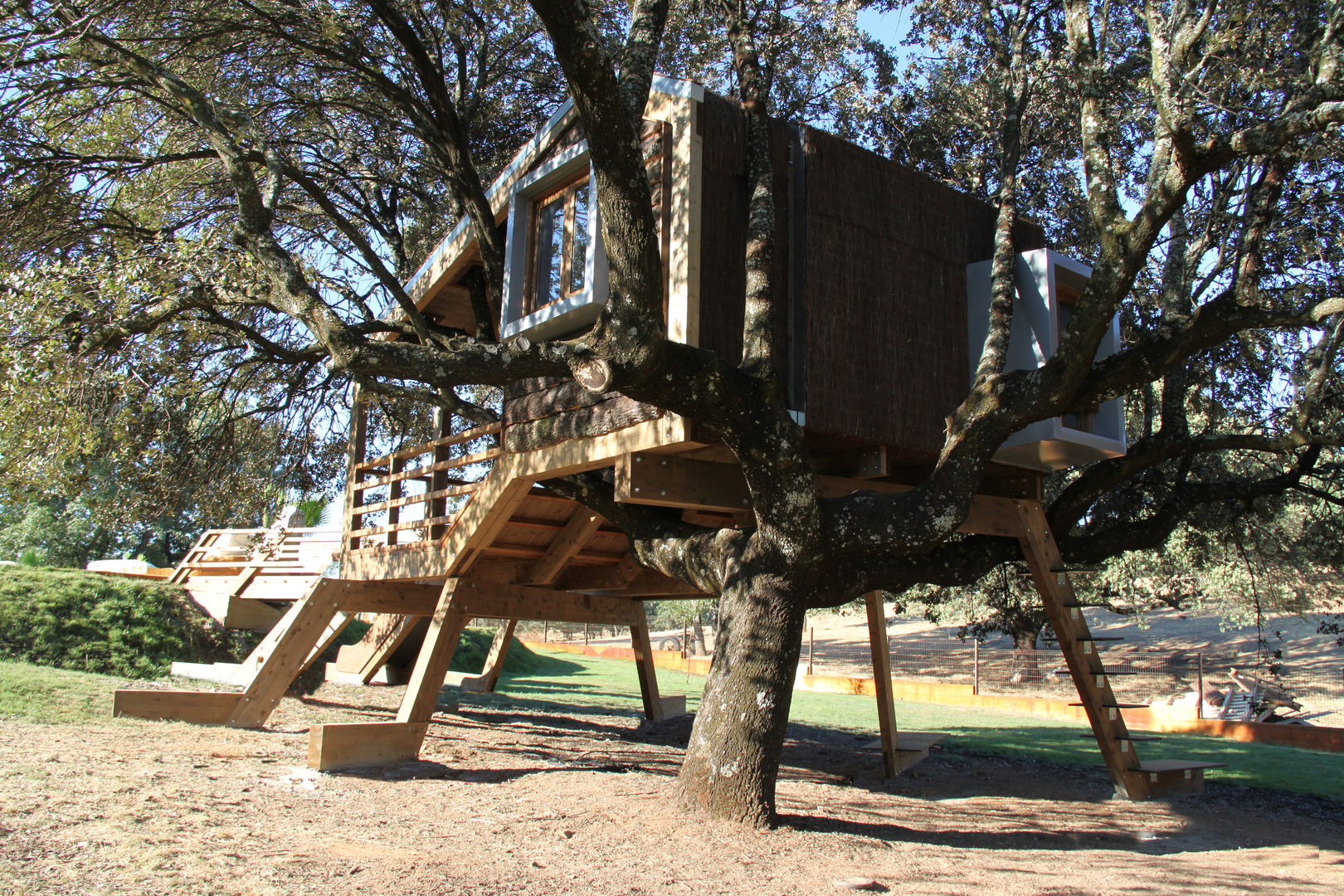 Casa en el árbol enraizada., Urbanarbolismo Urbanarbolismo บ้านและที่อยู่อาศัย