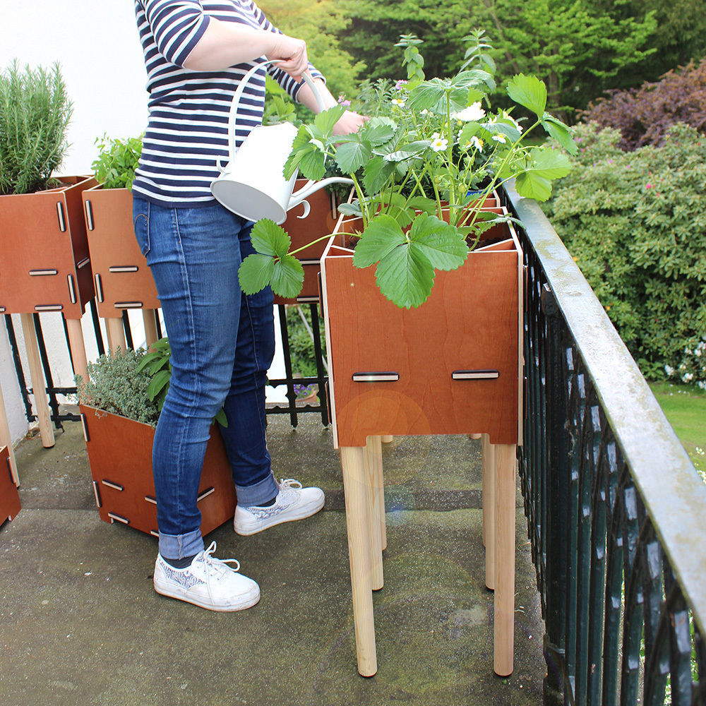 Urban Gardening mit WERKHAUS destinature, Werkhaus Design + Produktion GmbH Werkhaus Design + Produktion GmbH Scandinavian style balcony, veranda & terrace Plants & flowers