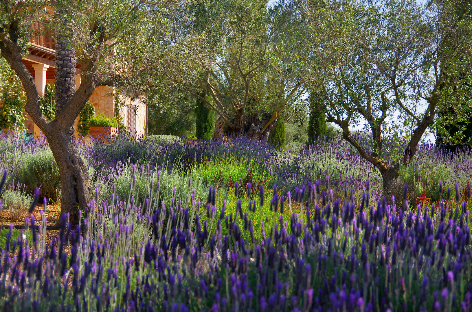 Jardines Mediterráneos, Viveros Pou Nou Viveros Pou Nou Mediterranean style garden