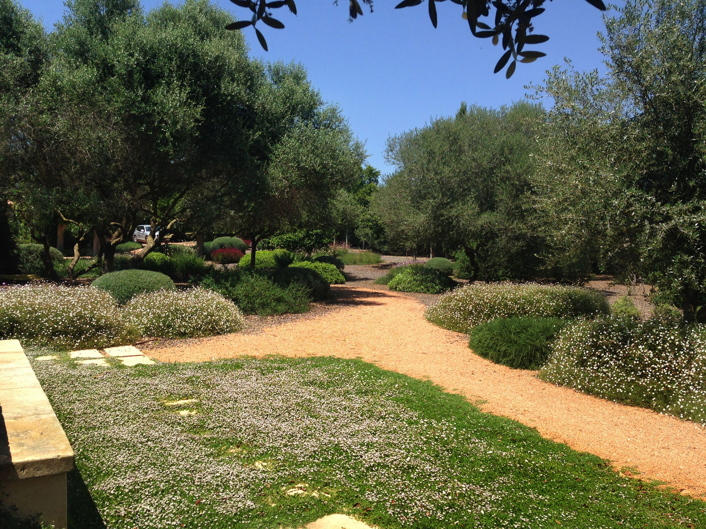 Jardines Mediterráneos, Viveros Pou Nou Viveros Pou Nou Jardines de estilo mediterráneo