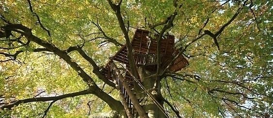 Baumhaus im Schlosspark, Luftschlösser Luftschlösser Balcones y terrazas rurales