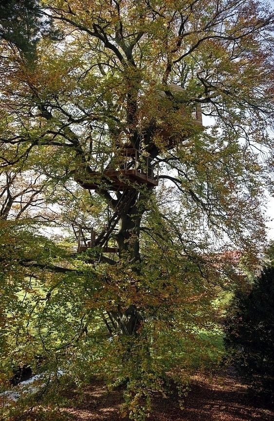 Baumhaus im Schlosspark, Luftschlösser Luftschlösser منازل